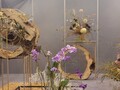 20220901-madzarska 2 mesto
